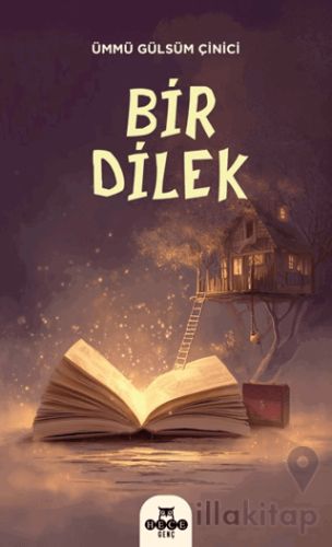 Bir Dilek