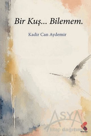 Bir Kuş… Bilemem.