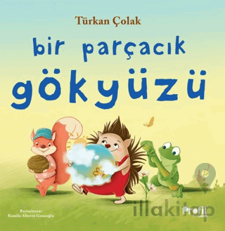 Bir Parçacık Gökyüzü