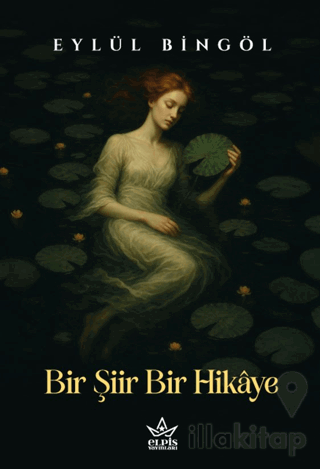 Bir Şiir Bir Hikâye