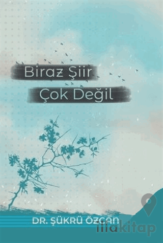 Biraz Şiir Çok Değil