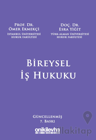 Bireysel İş Hukuku