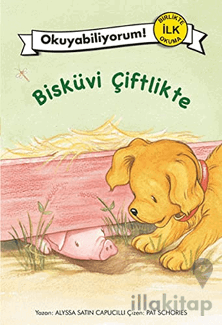 Bisküvi Çiftlikte