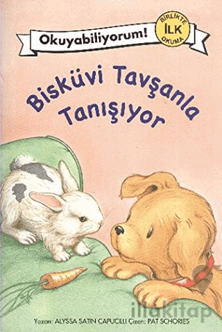 Bisküvi Tavşanla Tanışıyor