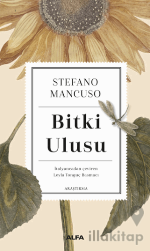 Bitki Ulusu