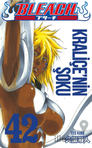Bleach 42. Cilt