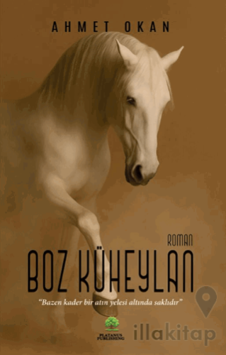 Boz Küheylan