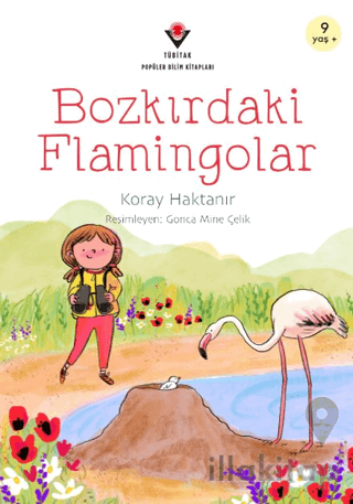 Bozkırdaki Flamingolar
