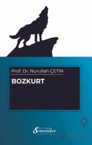 Bozkurt