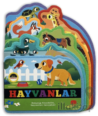 Bul Bakalım Hayvanlar