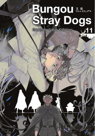 Bungou Stray Dogs 11
