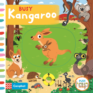Busy Kangaroo