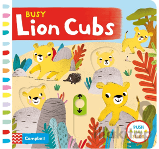 Busy Lion Cubs