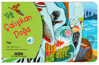 Çalışkan Doğa - Yaz