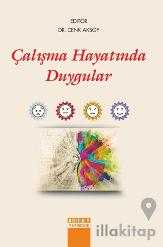 Çalışma Hayatında Duygular