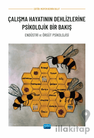 Çalışma Hayatının Dehlizlerine Psikolojik Bir Bakış - Endüstri Ve Örgüt Psikolojisi