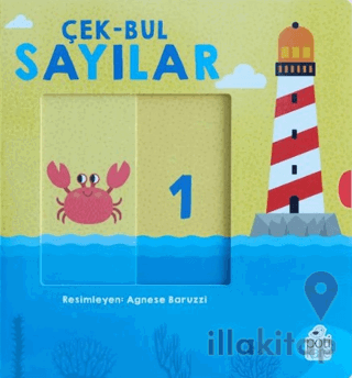 Çek-Bul Sayılar