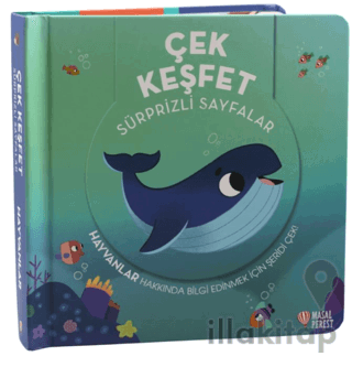 Çek Keşfet Hayvanlar