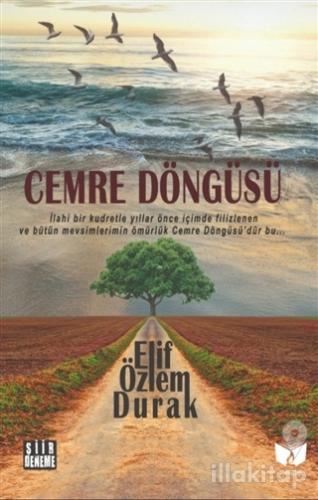 Cemre Döngüsü