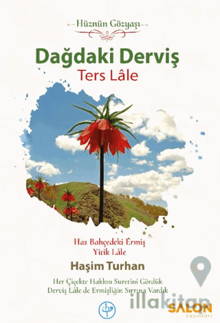 Dağdaki Derviş Ters Lale