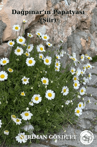 Dağpınar’ın Papatyası
