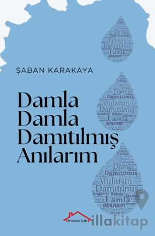 Damla Damla Damıtılmış Anılarım