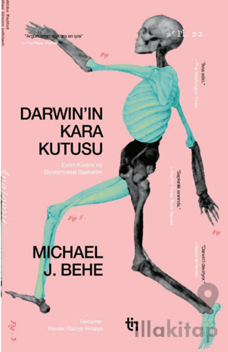 Darwin'in Kara Kutusu