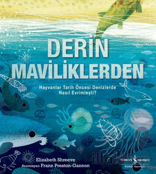 Derin Maviliklerden