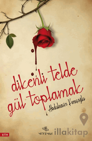 Dikenli Telde Gül Toplamak