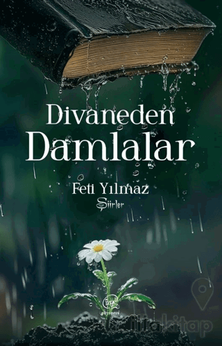Divaneden Damlalar