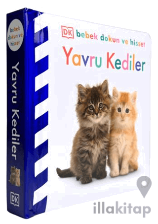 DK Bebek Dokun ve Hisset Serisi - Yavru Kediler