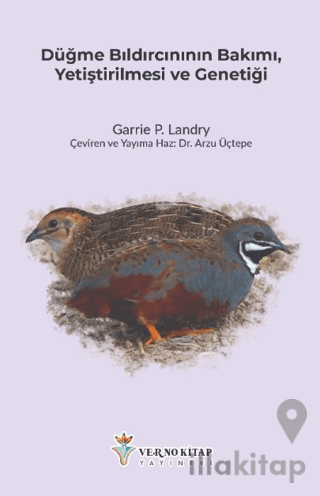 Düğme Bıldırcınının Bakımı, Yetiştirilmesi ve Genetiği