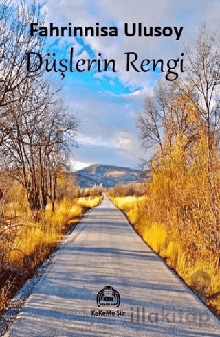 Düşlerin Rengi