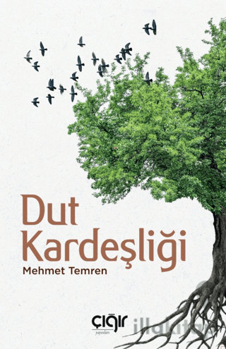 Dut Kardeşliği