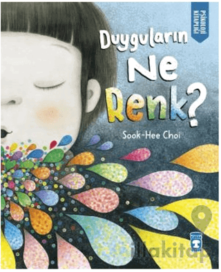 Duyguların Ne Renk?
