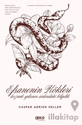 Efsanenin Kökleri Kozmik Yılanın Ardındaki Bilgelik