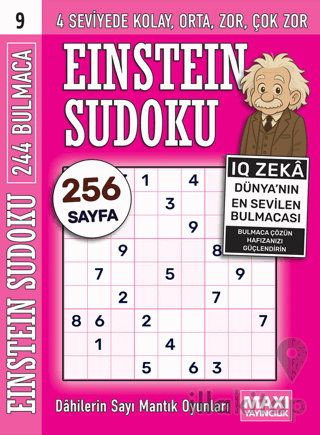 Einstein Sudoku 9