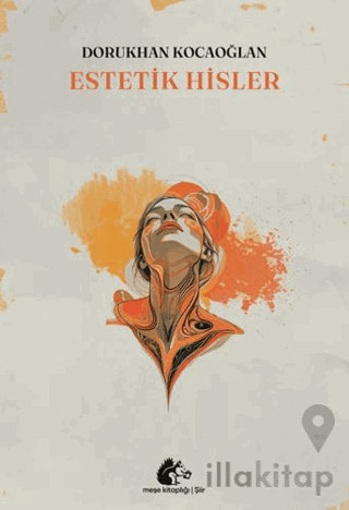 Estetik Hisler