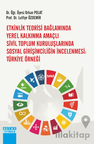 Etkinlik Teorisi Bağlamında Yerel Kalkınma Amaçlı Sivil Toplum Kuruluşlarında Sosyal Girişimciliğin İncelenmesi: Türkiye Örneği