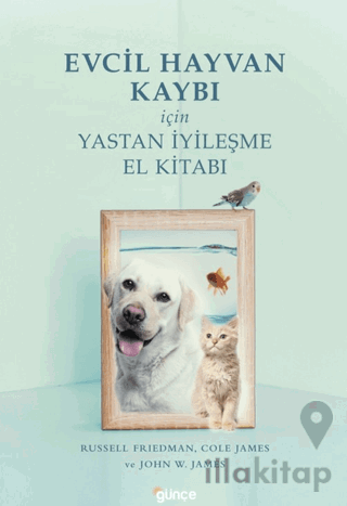 Evcil Hayvan Kaybı İçin Yastan İyileşme