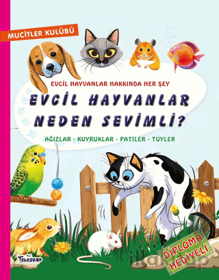 Evcil Hayvanlar Neden Sevimli?