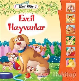 Evcil Hayvanlar - Sesli Kitap