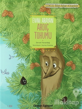 Evini Arayan Ardıç Tohumu (Okul İçin)