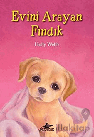 Evini Arayan Fındık