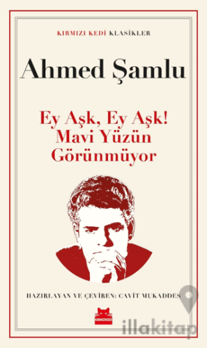 Ey Aşk, Ey Aşk! Mavi Yüzün Görünmüyor