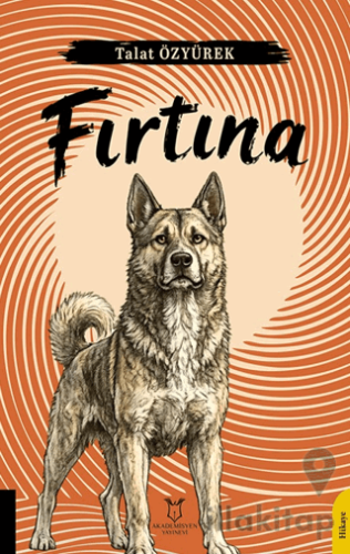 Fırtına