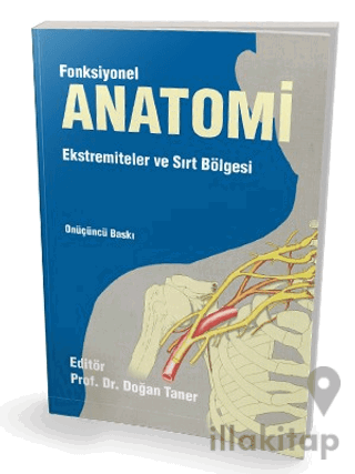 Fonksiyonel Anatomi Ekstremiteler ve Sırt Bölgesi