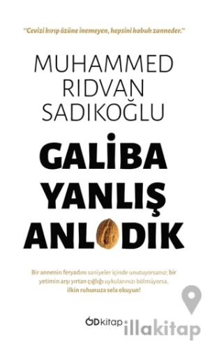 Galiba Yanlış Anladık