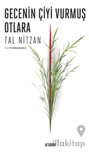 Gecenin Çiyi Vurmuş Otlara