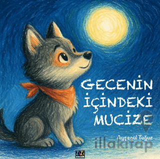 Gecenin İçindeki Mucize